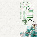 淘宝主图