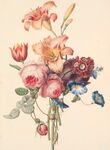 花插画