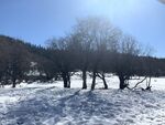 雪山景色