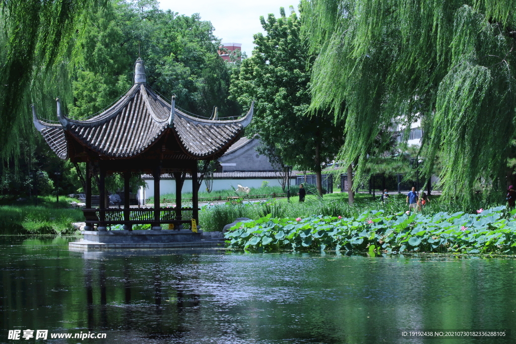 园林风景