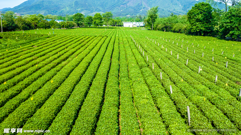 俯拍风景