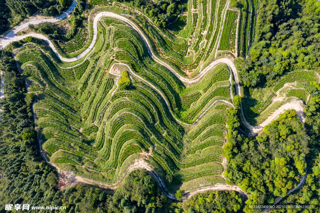 俯拍风景 