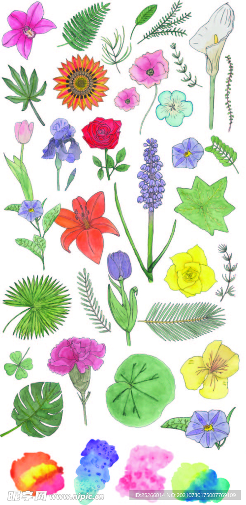 手绘花朵矢量图