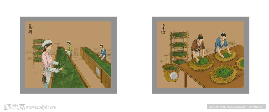 茶叶制作过程