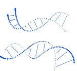 基因链 科技感 线条
