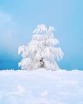 雪