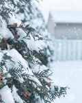下雪