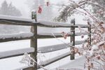 下雪