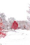 下雪