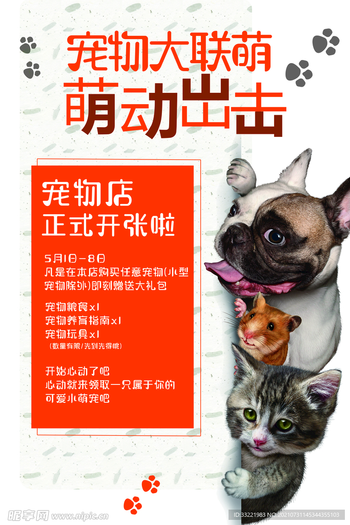 宠物海报 