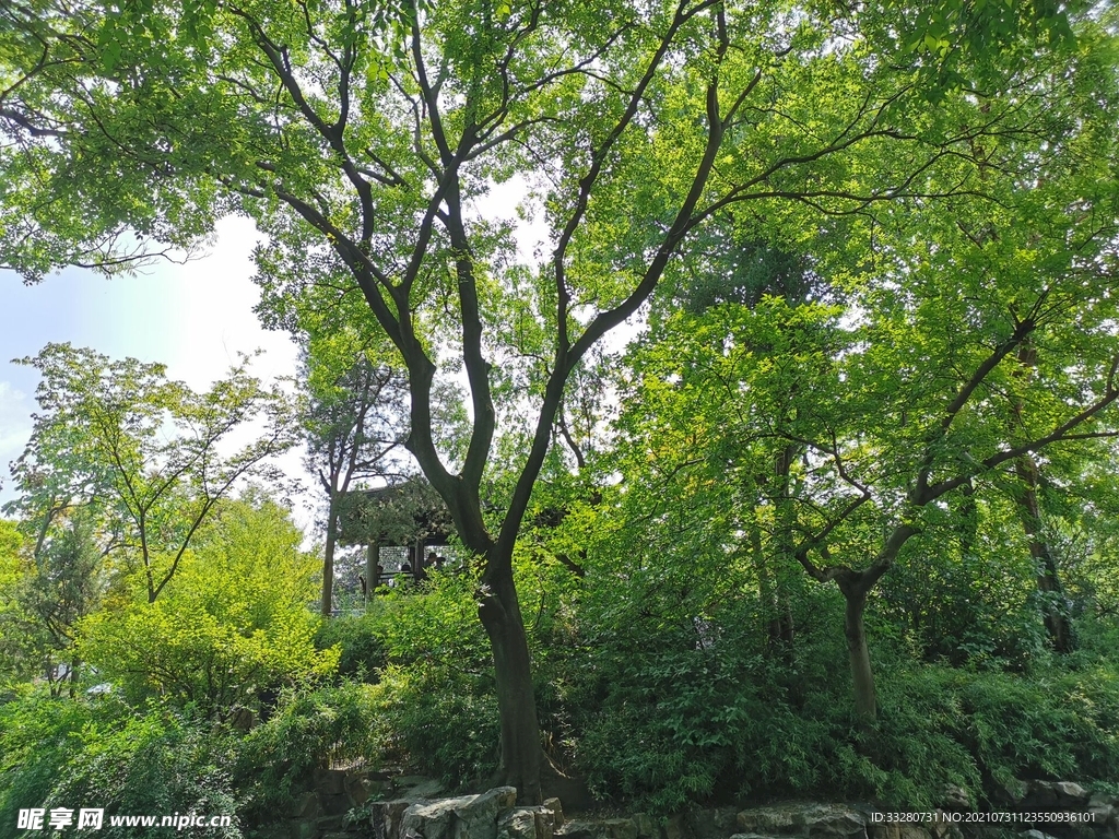 久居深山中