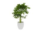 植物盆栽模型