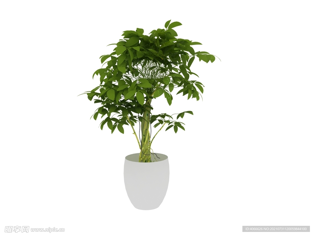 植物盆栽模型