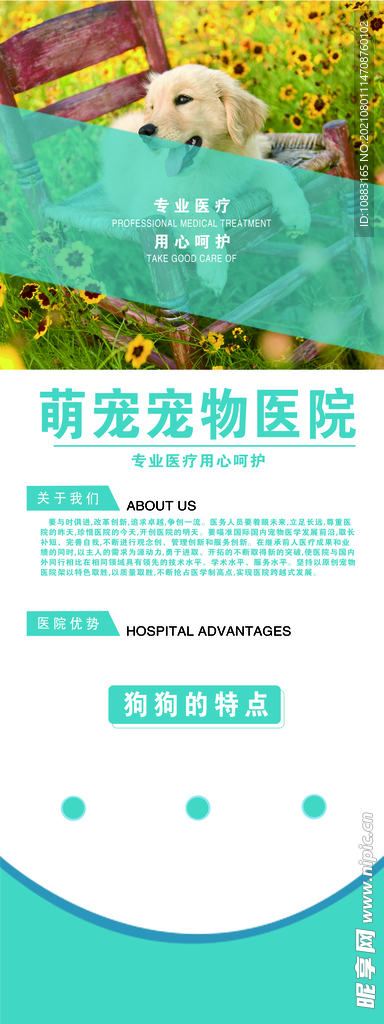 宠物店展架