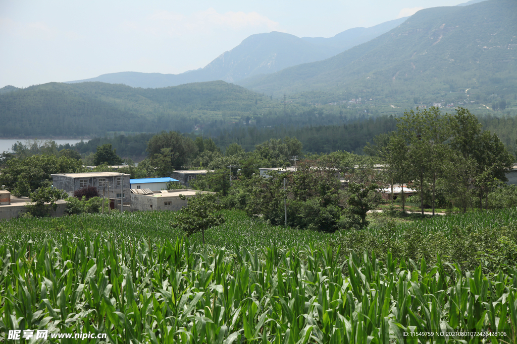 山村小景