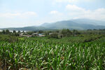 登封山村景色