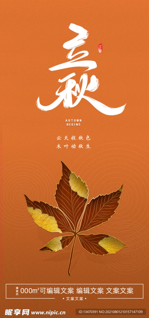立秋海报