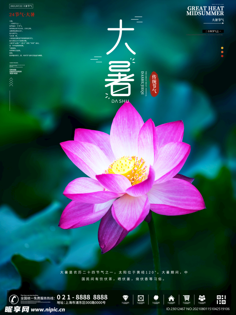 二十四节气大暑节气海报