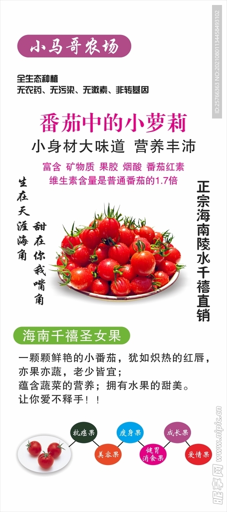 圣女果海报