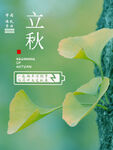 立秋节气