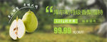 水果banner