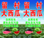 西瓜立牌