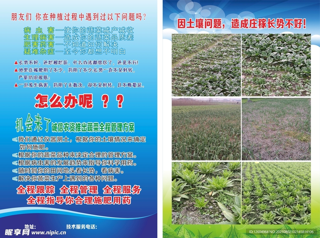 农资店蔬菜管理宣传海报
