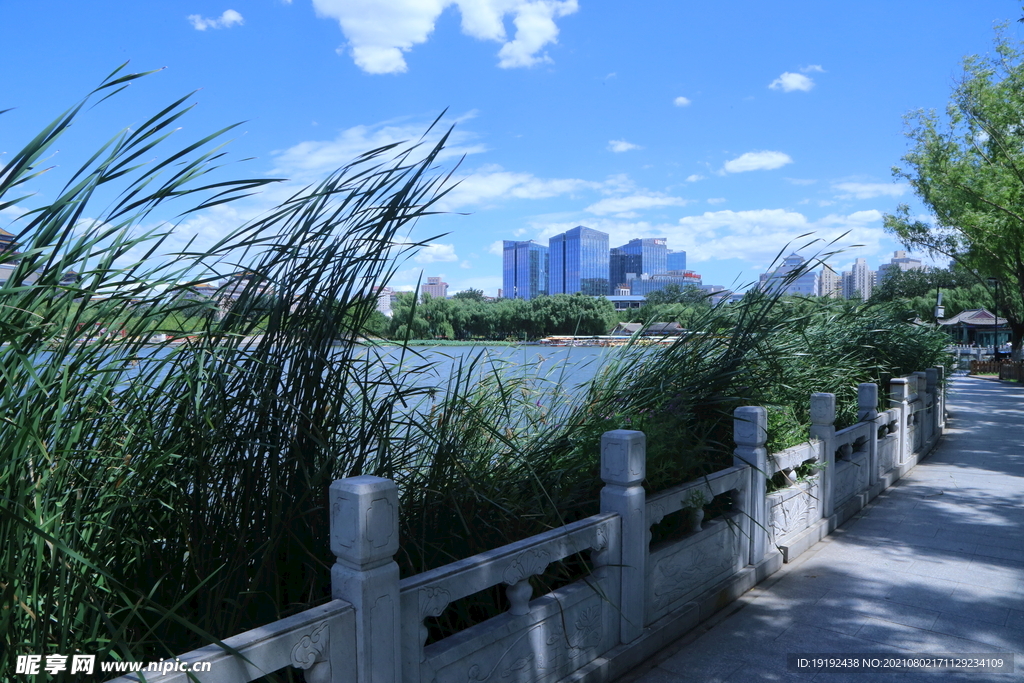 园林风景 