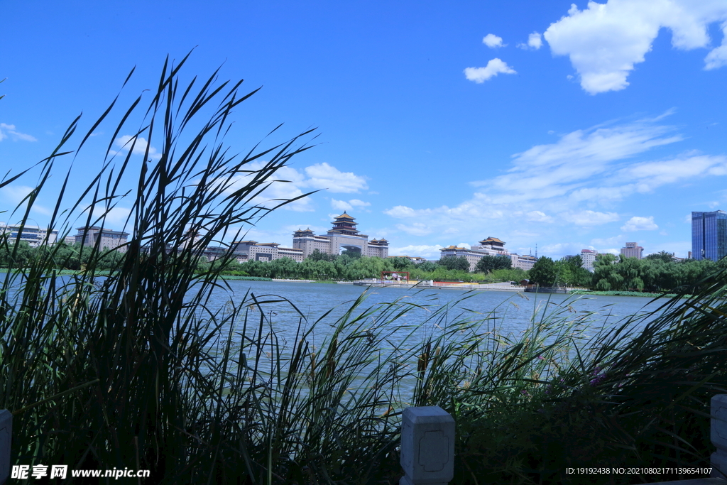 园林风景