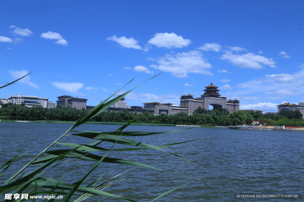 园林风景  