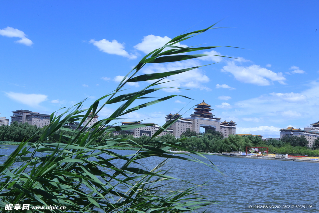 园林风景 