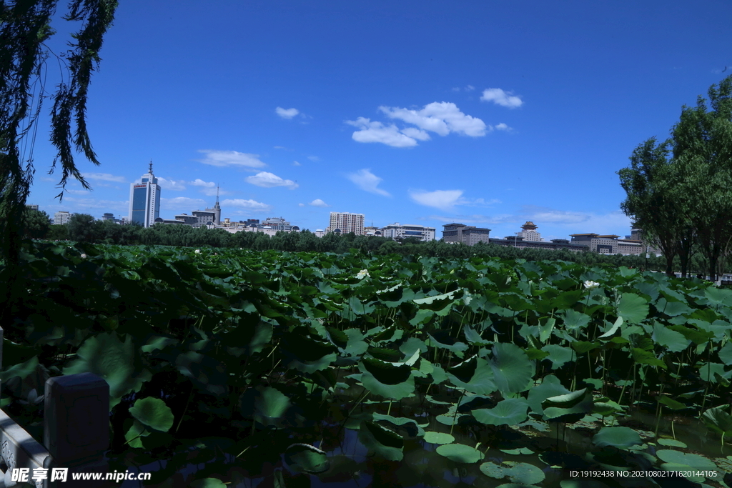 园林风景