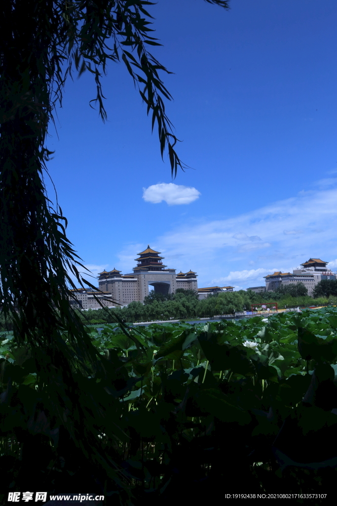 园林风景