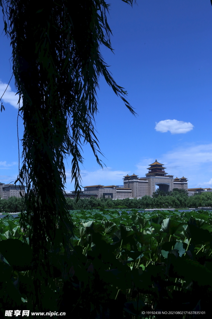公园风景