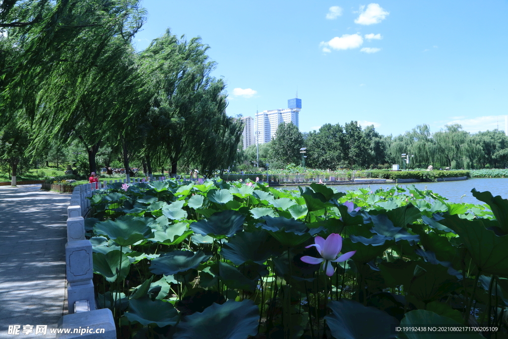 园林风景
