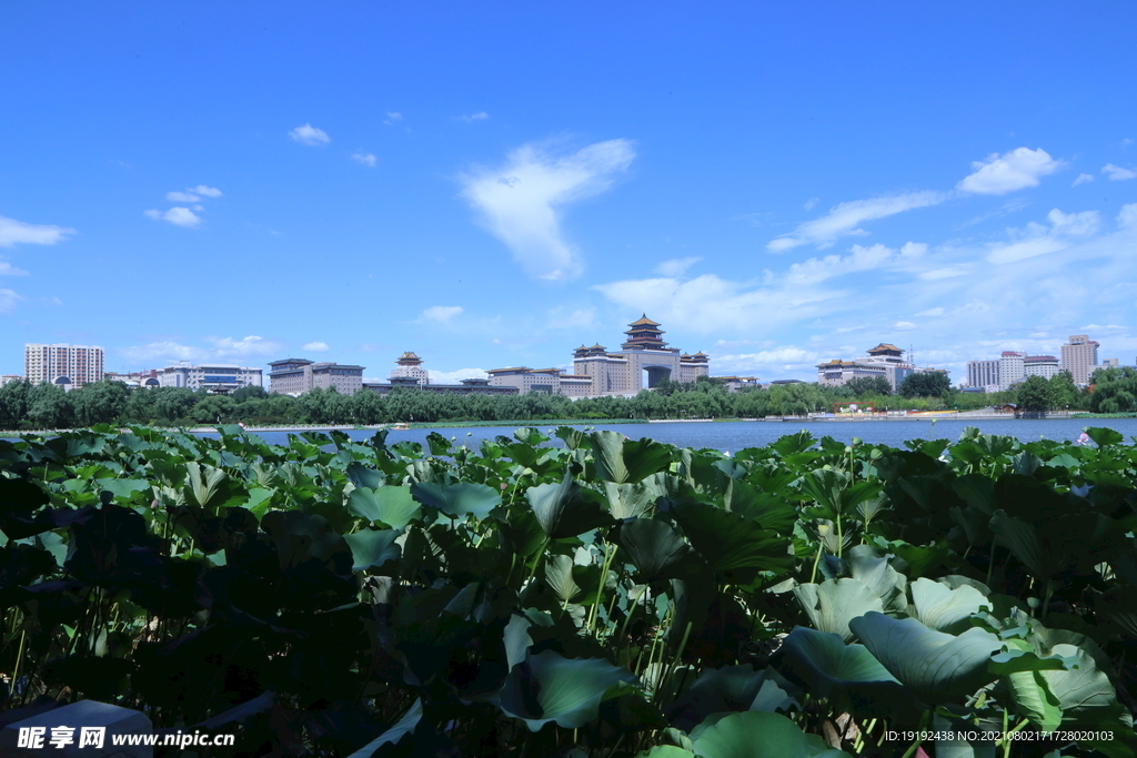园林风景  