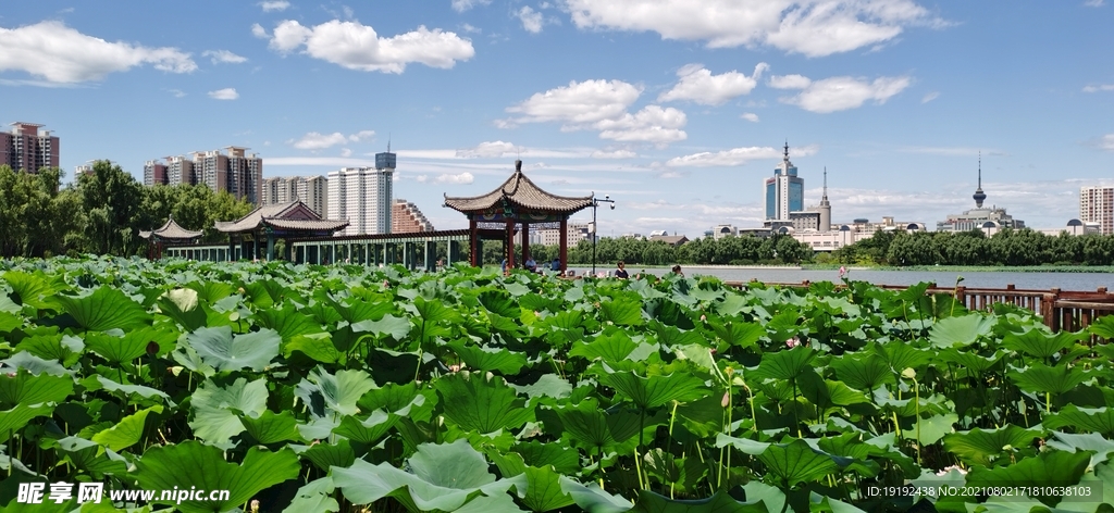 园林风景  