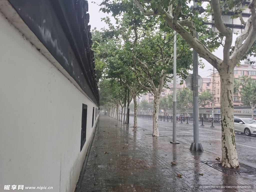 下雨天的南方梧桐树步行街道