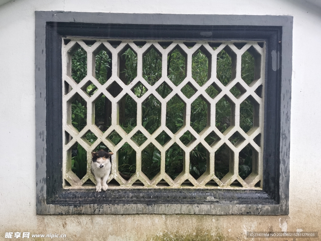 下雨天南方镂空窗格建筑和猫咪