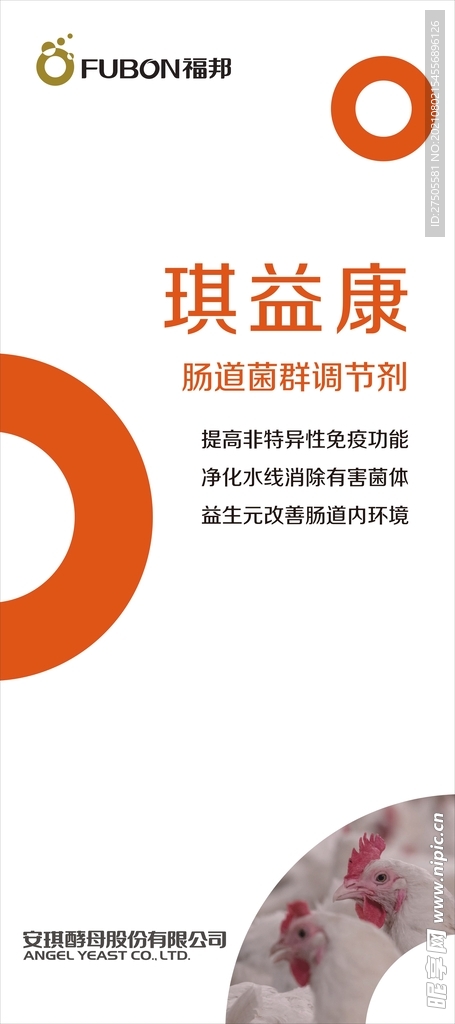 展架海报