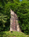 天鹅湖公园
