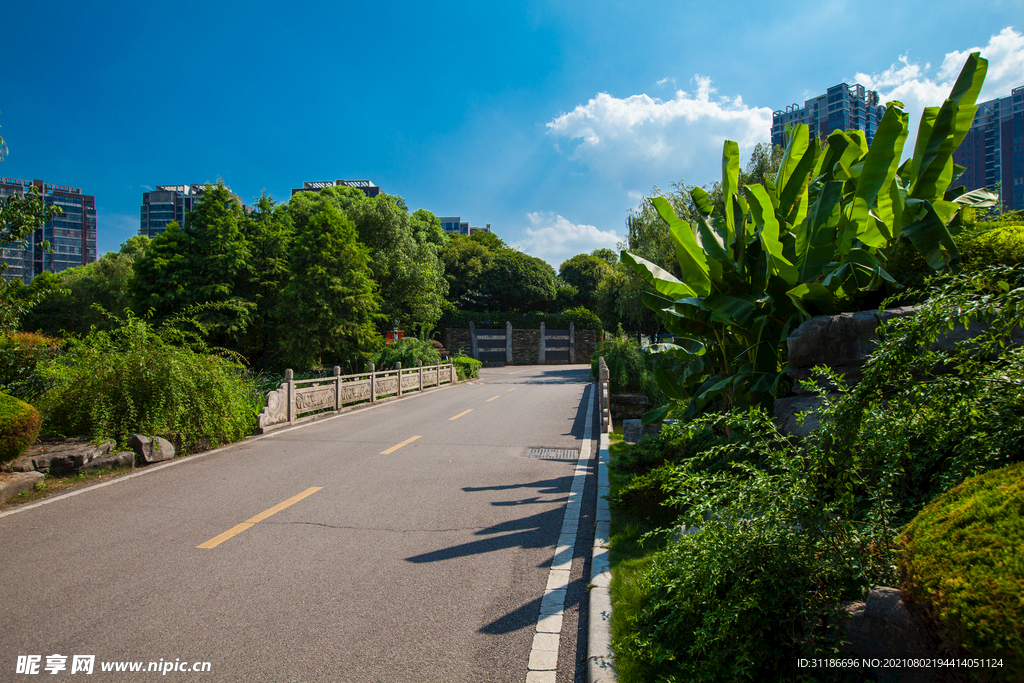 天鹅湖公园