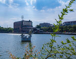 天鹅湖公园