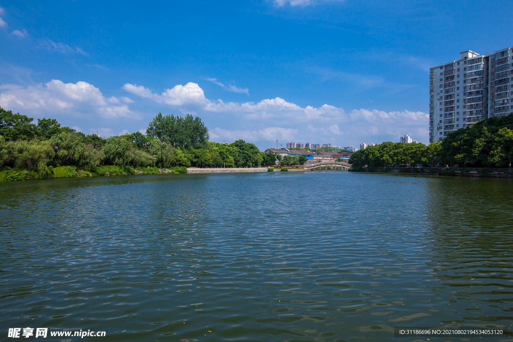 天鹅湖公园