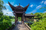 天鹅湖公园