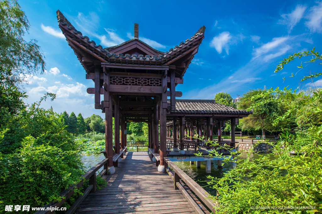 天鹅湖公园