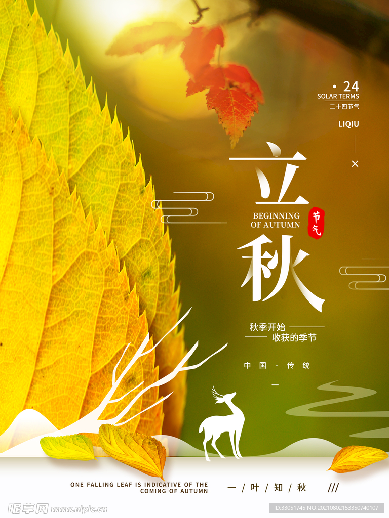 立秋海报