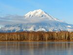 雪山与树林