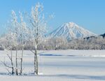 冬季的雪