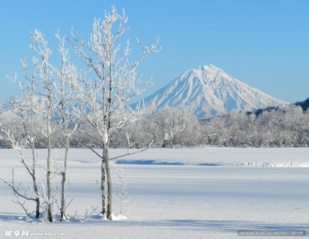 冬季的雪